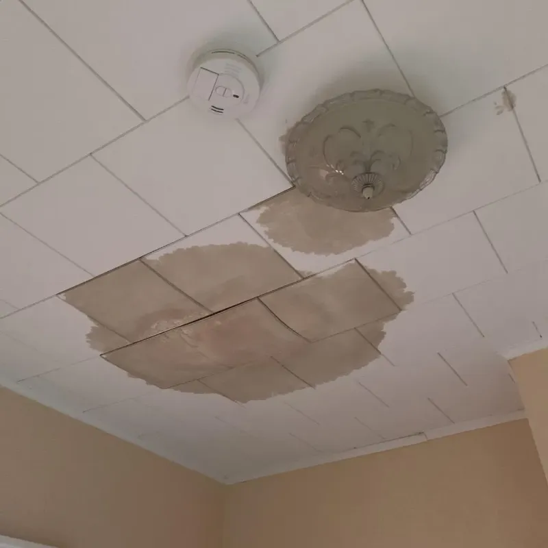 Ceiling Water Damage Repair in Henderson County, TN