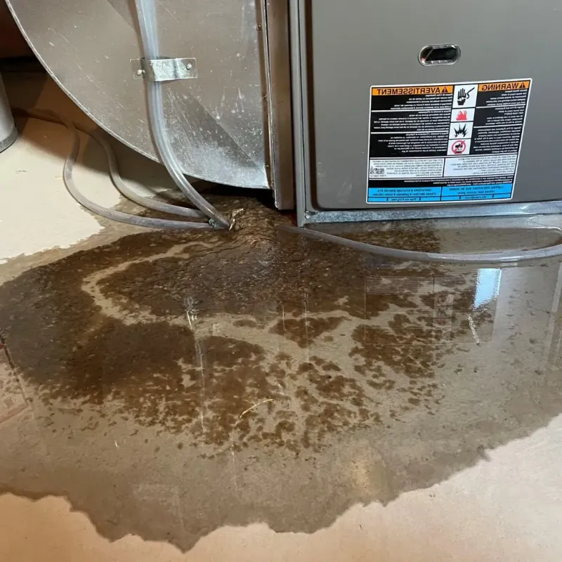 Pipe Burst and Leak Restoration in Henderson County, TN
