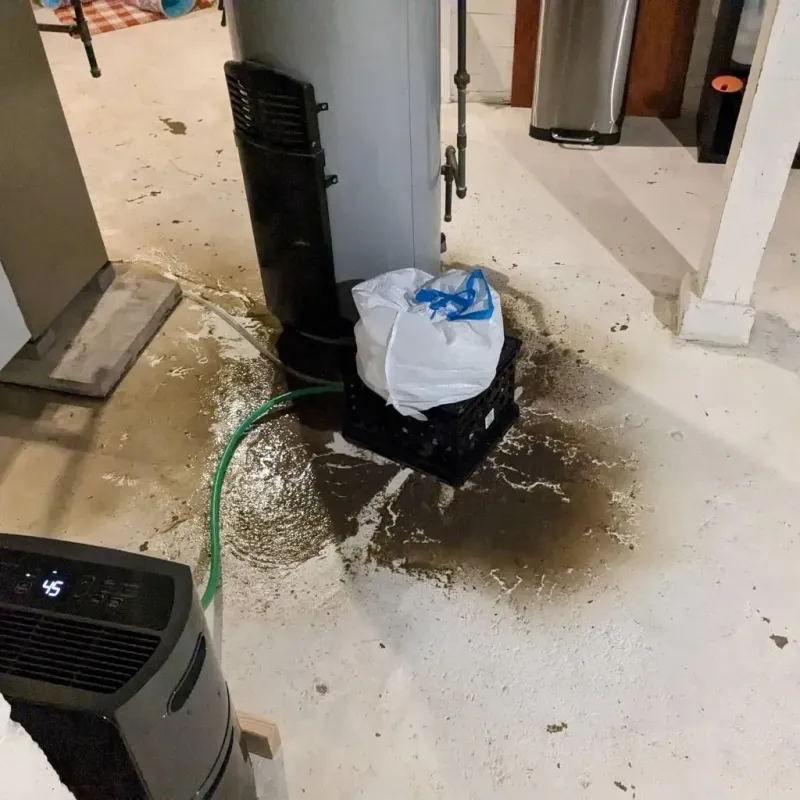 Sewage Backup Cleanup Service in Henderson County, TN